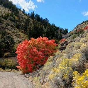 Meet your Posher, Jane